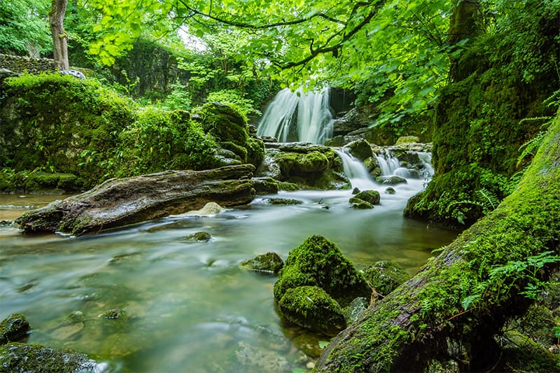 Conservation