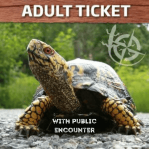 Single Adult Ticket
