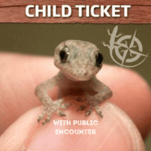 Single Child Ticket