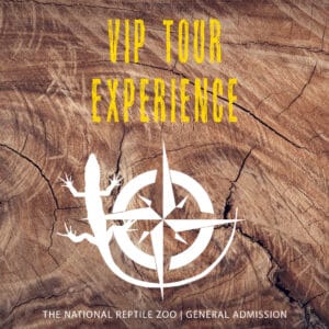 VIP Tour Experience