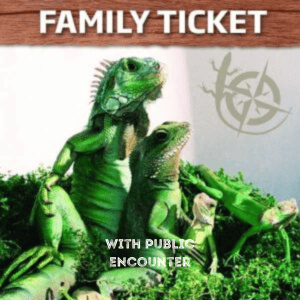 General Admission - Family Ticket (Public Encounter)