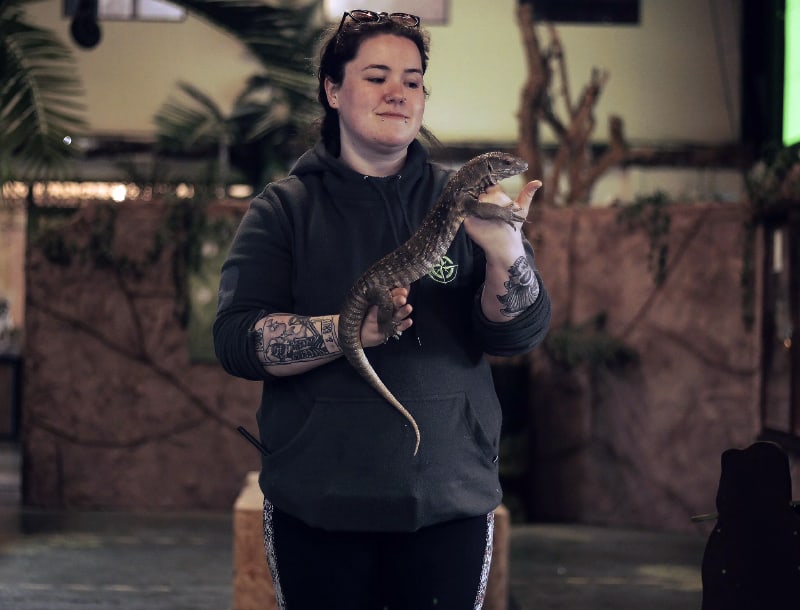 The National Reptile Zoo