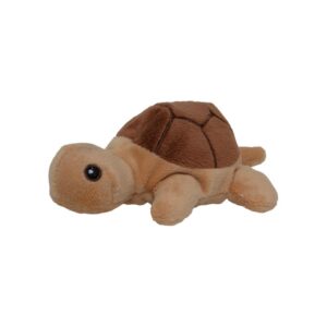 Wild Beans Tiny Tortoise