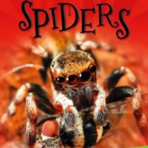 Scary Spiders