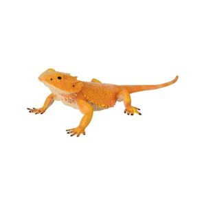 World Wonders Bearded Dragon