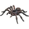 World Wonders Tarantula